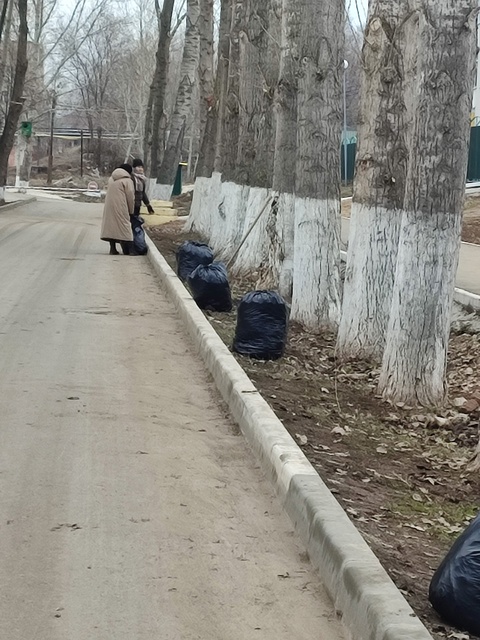 Субботник.