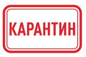 Карантин.