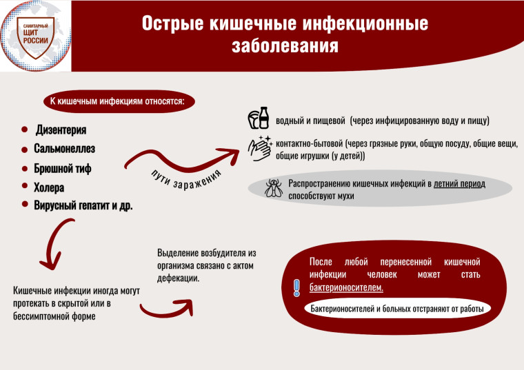 Будьте осторожны! Кишечные  инфекции.